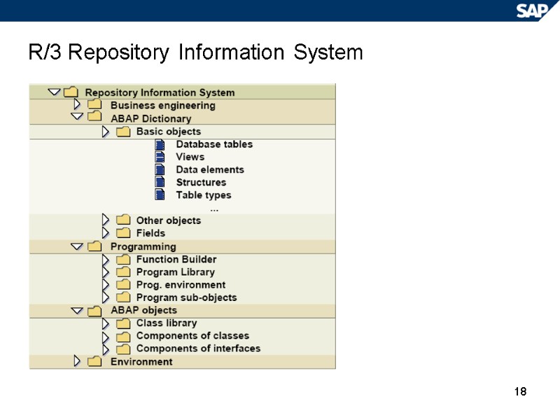 18 R/3 Repository Information System